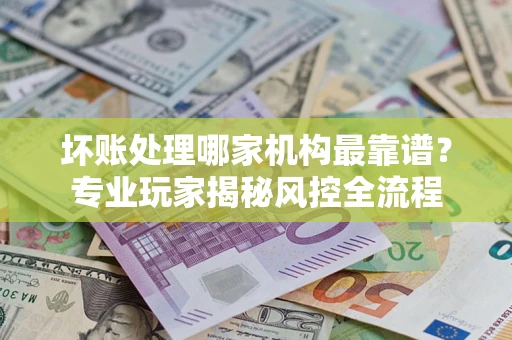 武汉坏账处理哪家机构最靠谱？专业玩家揭秘风控全流程