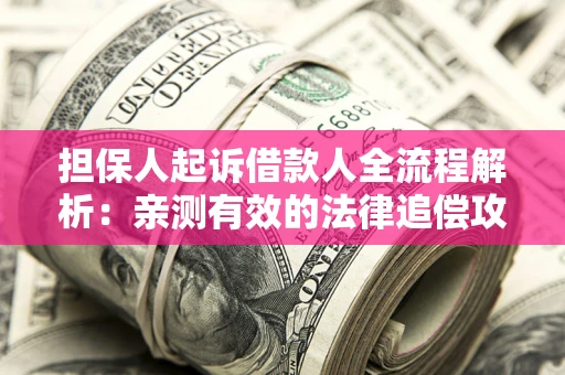 武汉担保人起诉借款人全流程解析：亲测有效的法律追偿攻略