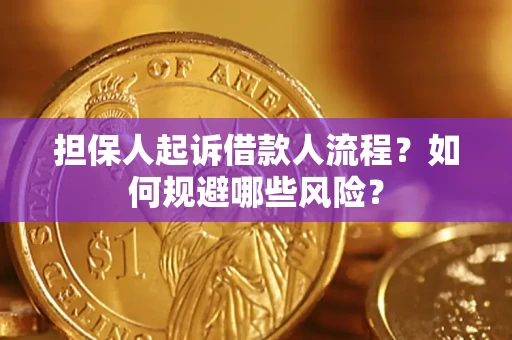 武汉担保人起诉借款人流程？如何规避哪些风险？