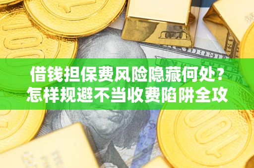 武汉借钱担保费风险隐藏何处？怎样规避不当收费陷阱全攻略！
