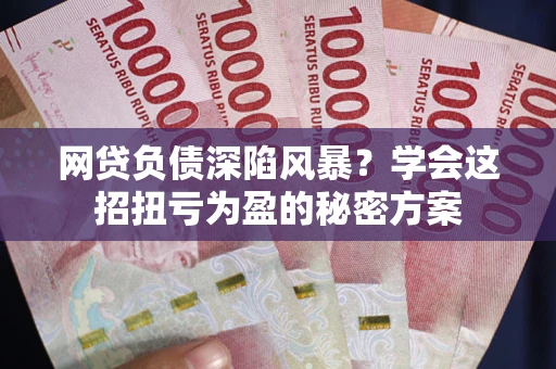 武汉网贷负债深陷风暴？学会这招扭亏为盈的秘密方案
