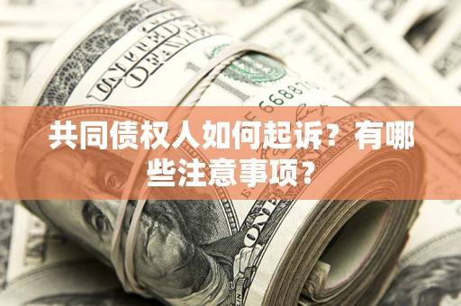 武汉共同债权人如何起诉？有哪些注意事项？
